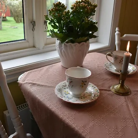 Vakantiehuis Cozy *
