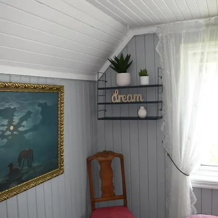 Cozy 펜션